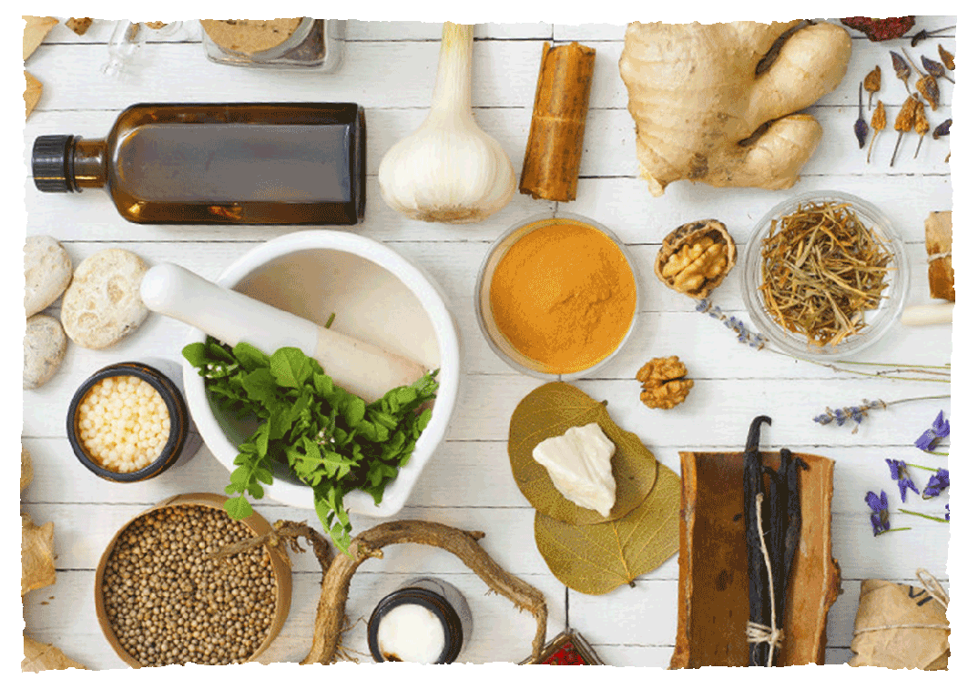 nutrition nutrition